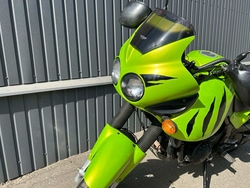 Triumph Tiger 955