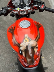 Honda CB900F Hornet