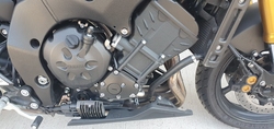 Yamaha FZ8NA