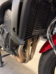 Yamaha FZ1SA