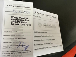 Yamaha FZ6S