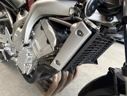 Yamaha FZ6N