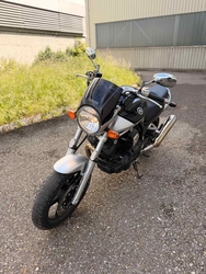 🔥 YAMAHA BT1100 BULLDOG  🔥
