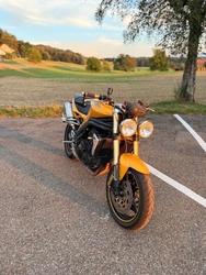 🔥 TRIUMPH SPEED TRIPLE